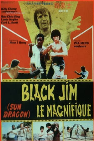 Affiche de Black Jim Le Magnifique