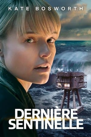 Affiche de Sentinel