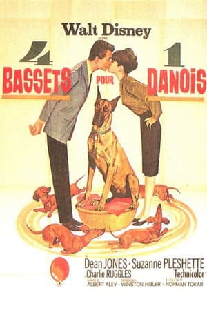 Affiche de 4 bassets pour un danois