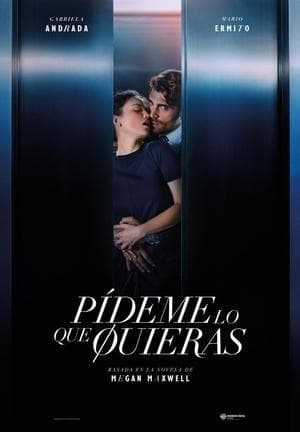 Affiche de Ask Me What You Want