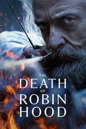 Affiche de On l'appelait Robin des Bois