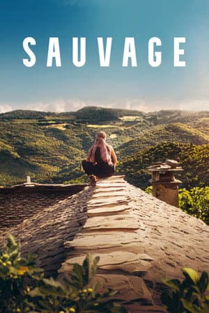 Affiche de Sauvage