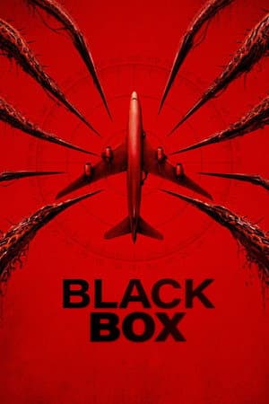Affiche de Black Box (Flight 298)