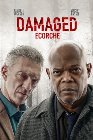 Affiche de Damaged