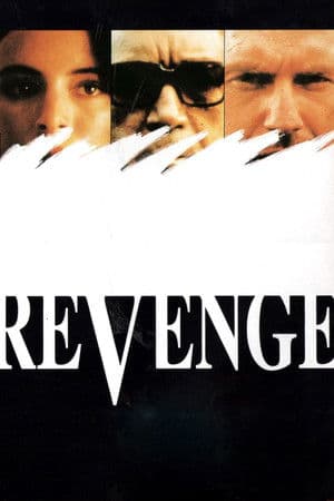 Affiche de Revenge