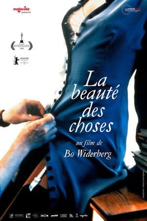 Affiche de La Beauté des choses