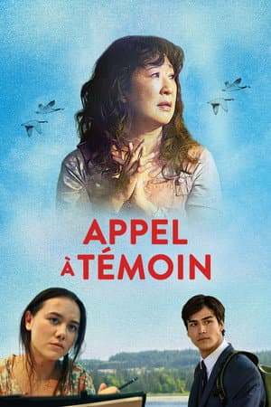 Affiche de Can I Get a Witness?