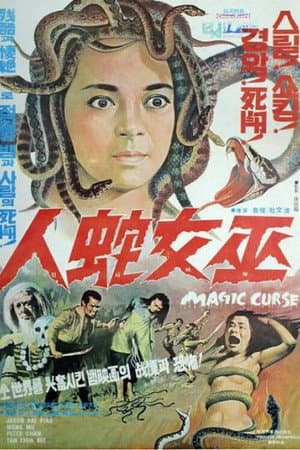 Affiche de Au Pays de la magie noire