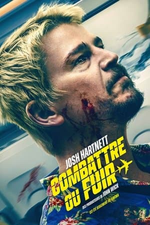 Affiche de Fight or Flight