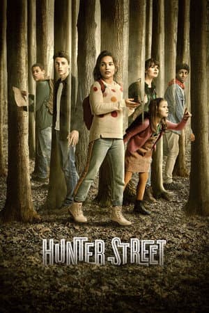 Affiche de Les Mystères d'Hunter Street - Saison 3