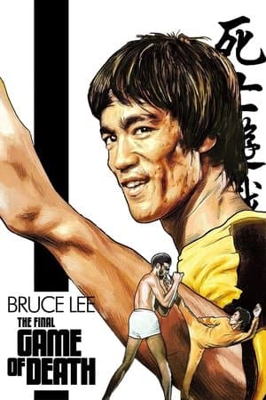 Affiche de The Final Game of Death
