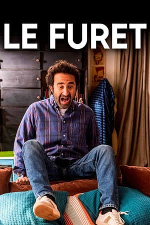 Affiche de Le furet