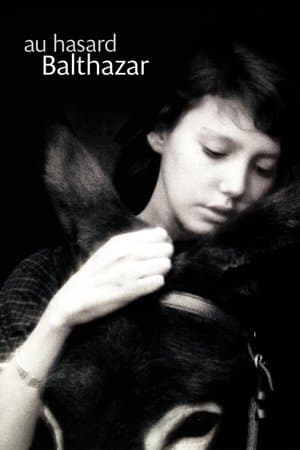 Affiche de Au hasard Balthazar