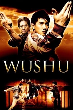 Affiche de Wushu