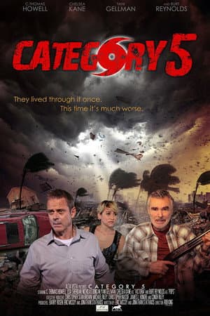 Affiche de Au cœur de la tempête