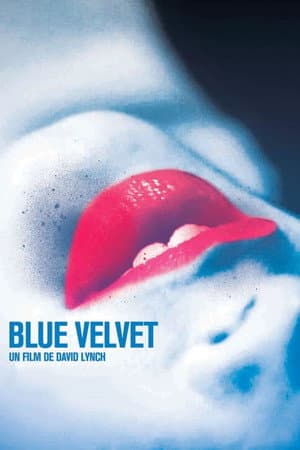 Affiche de Blue Velvet