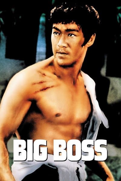 Affiche de Big Boss