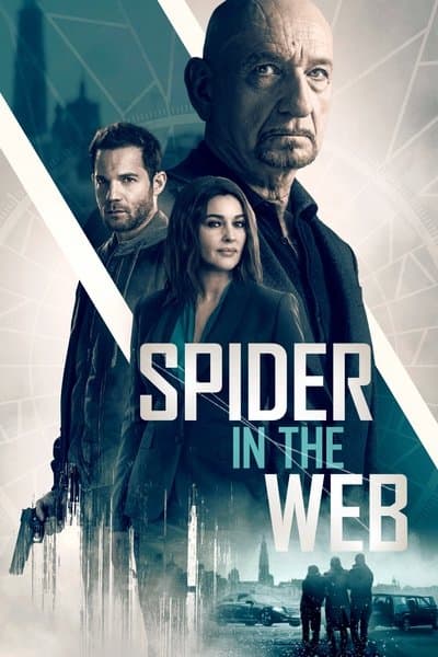 Affiche de Spider in the Web