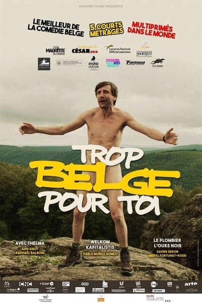 Affiche de Trop belge pour toi