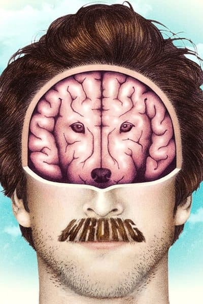 Affiche de Wrong