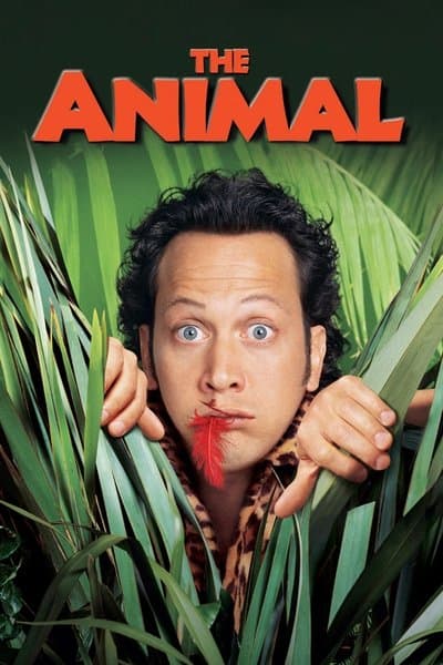 Affiche de Animal ! L'animal