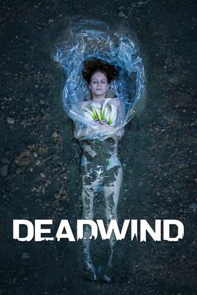 Affiche de Deadwind - Saison 3