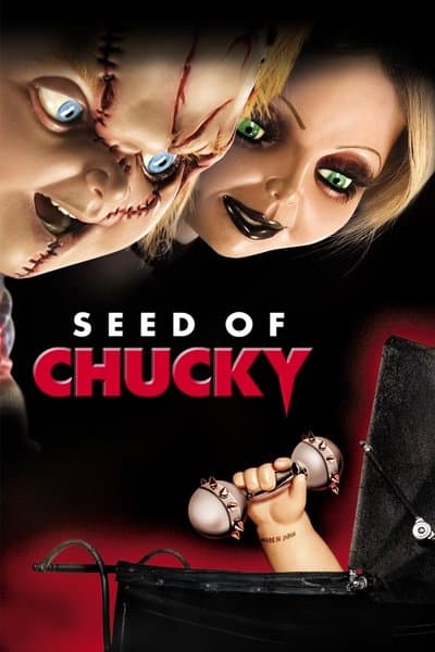 Affiche de Le Fils de Chucky