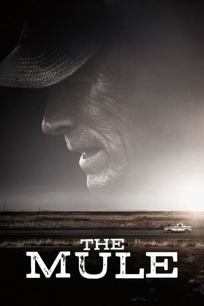 Affiche de La Mule
