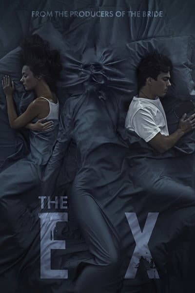 Affiche de The Ex