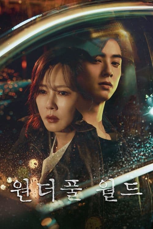 Affiche de Wonderful World
