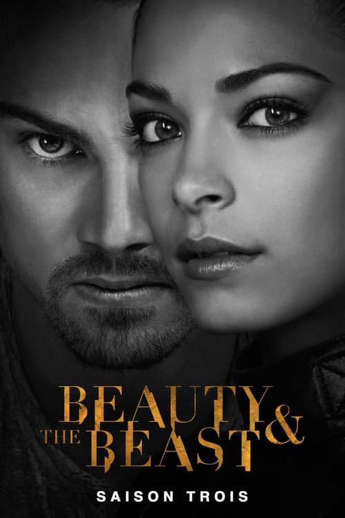 Affiche de Beauty and the Beast - Saison 3