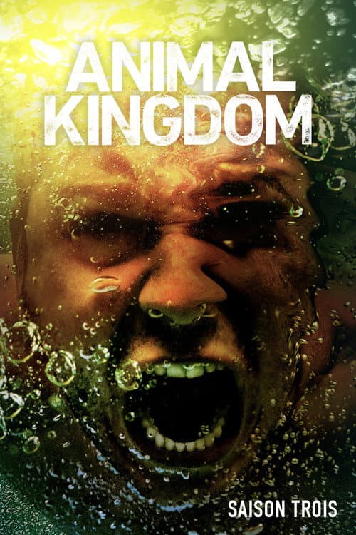 Affiche de Animal Kingdom - Saison 3