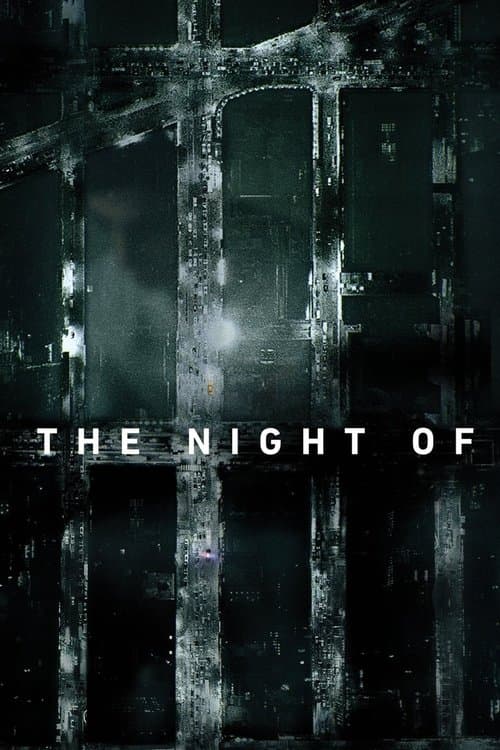 Affiche de The Night Of - Saison 1