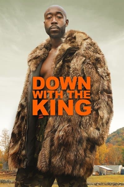 Affiche de Down with the King